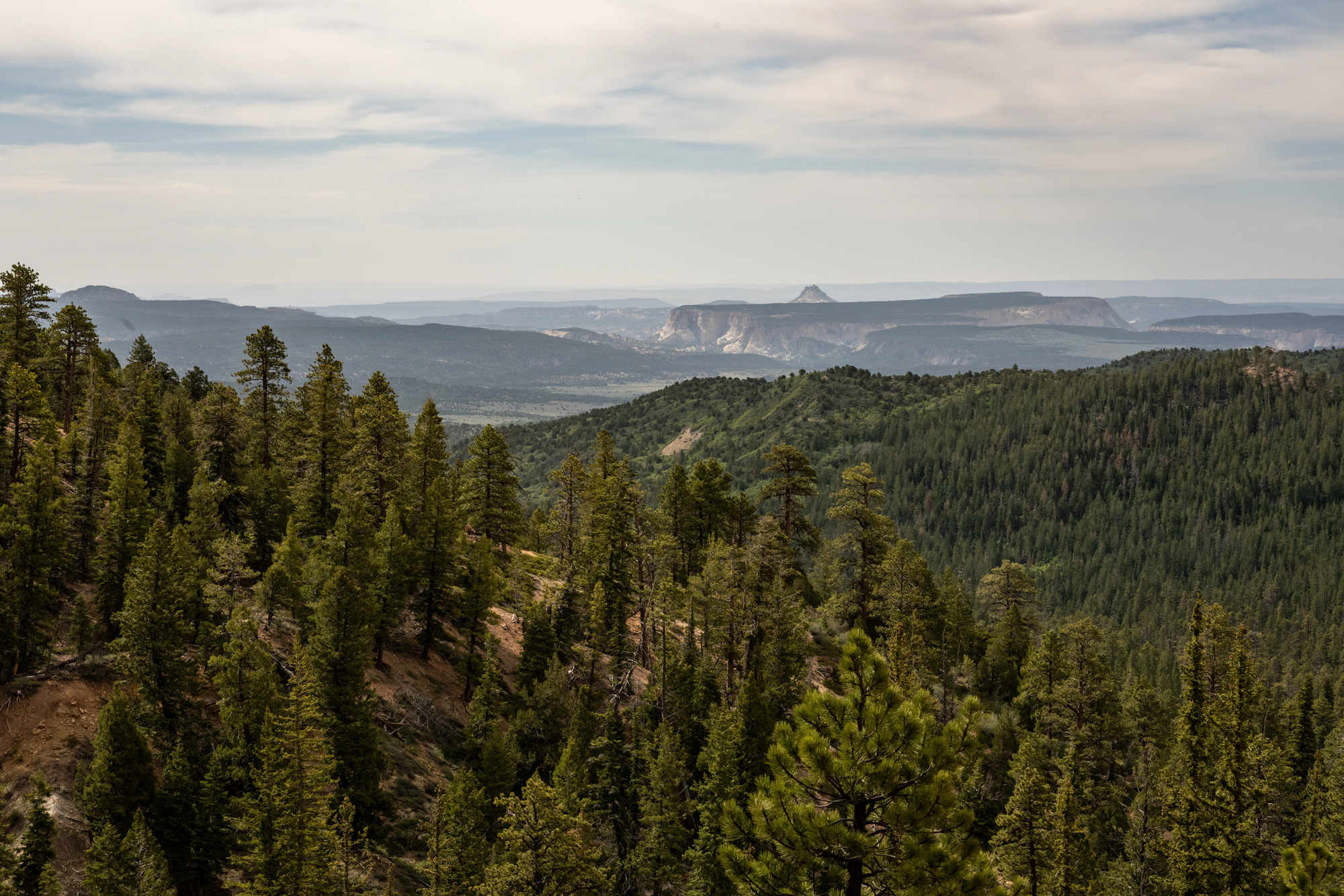 Bryce Canyon, UT