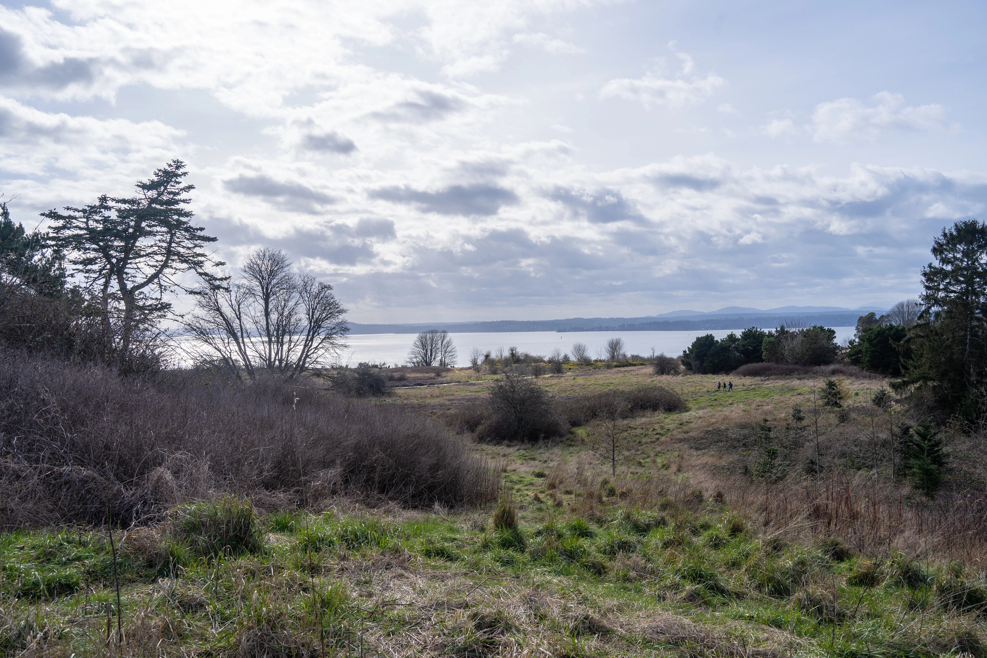 Snohomish County, WA